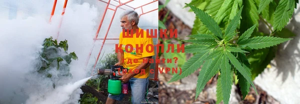 не бодяженный Аркадак