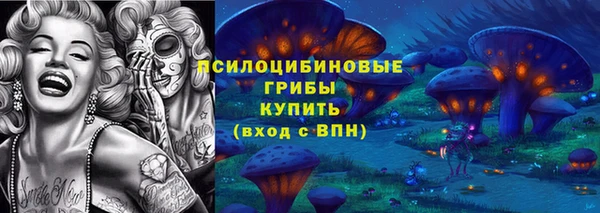 не бодяженный Аркадак